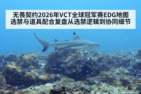 无畏契约2026年VCT全球冠军赛EDG地图选禁与道具配合复盘从选禁逻辑到协同细节